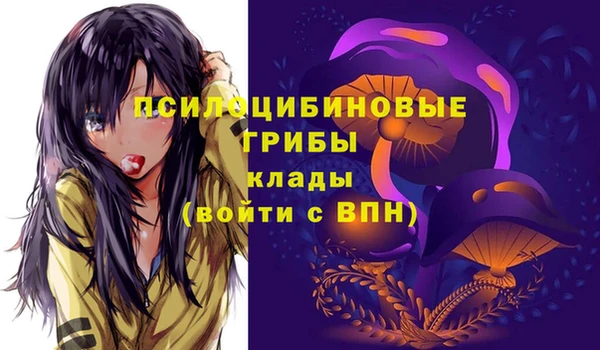 spice Армянск