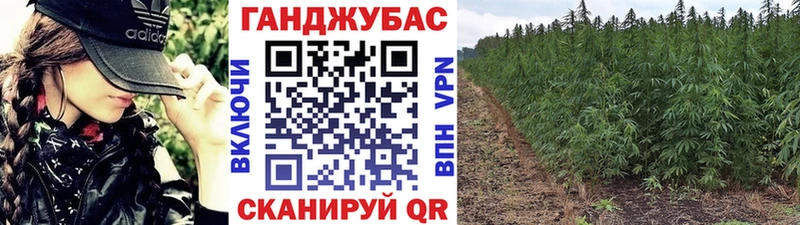 Марихуана OG Kush  Сенгилей 
